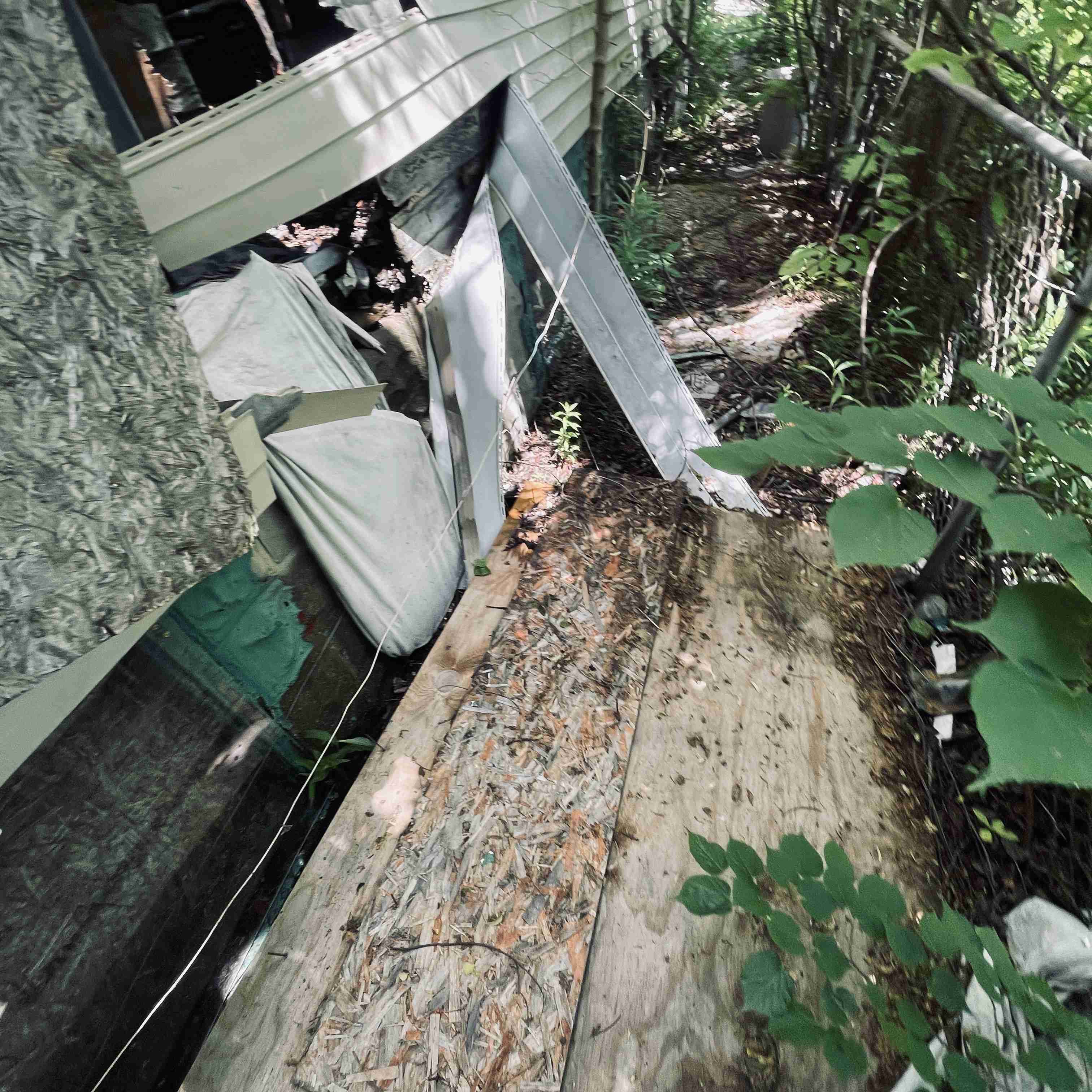 1060 Meldrum (17).jpg